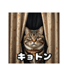 ふとった茶トラのネコ（個別スタンプ：8）