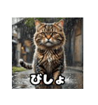 ふとった茶トラのネコ（個別スタンプ：19）