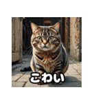ふとった茶トラのネコ（個別スタンプ：20）