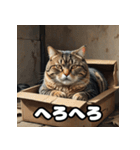 ふとった茶トラのネコ（個別スタンプ：22）