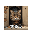 ふとった茶トラのネコ（個別スタンプ：23）