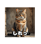 ふとった茶トラのネコ（個別スタンプ：30）