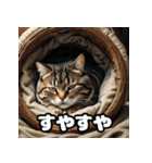ふとった茶トラのネコ（個別スタンプ：40）