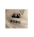生意気ならんらんPart3（個別スタンプ：2）