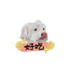 台湾華語バージョン犬とホンル（個別スタンプ：1）