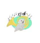 台湾華語バージョン犬とホンル（個別スタンプ：6）