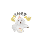 台湾華語バージョン犬とホンル（個別スタンプ：9）