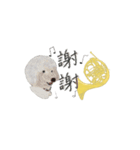 台湾華語バージョン犬とホンル（個別スタンプ：10）