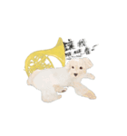 台湾華語バージョン犬とホンル（個別スタンプ：12）