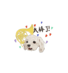 台湾華語バージョン犬とホンル（個別スタンプ：14）