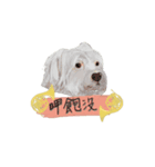 台湾華語バージョン犬とホンル（個別スタンプ：15）