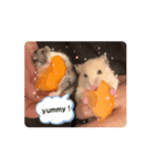 いちごtoおもち（個別スタンプ：1）