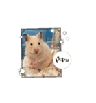 いちごtoおもち（個別スタンプ：5）