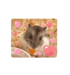 いちごtoおもち（個別スタンプ：7）