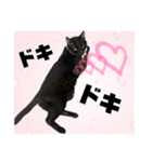 保護猫出身くろねこジジさん春スタンプ（個別スタンプ：4）