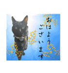 保護猫出身くろねこジジさん春スタンプ（個別スタンプ：6）