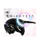 保護猫出身くろねこジジさん春スタンプ（個別スタンプ：7）