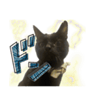 保護猫出身くろねこジジさん春スタンプ（個別スタンプ：14）