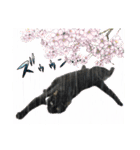 保護猫出身くろねこジジさん春スタンプ（個別スタンプ：18）