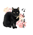 保護猫出身くろねこジジさん春スタンプ（個別スタンプ：22）