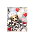 ダックスパピーSaraちゃん1（個別スタンプ：23）
