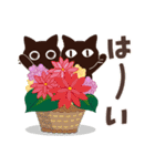 Popup！大人かわいい絵本の猫38[春の花]（個別スタンプ：18）