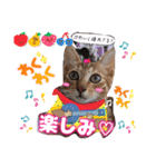 猫♥️面白♥️日常♥️挨拶♥️（個別スタンプ：7）