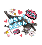 猫♥️面白♥️日常♥️挨拶♥️（個別スタンプ：12）