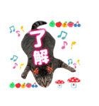 猫♥️面白♥️日常♥️挨拶♥️（個別スタンプ：18）