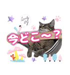 猫♥️面白♥️日常♥️挨拶♥️（個別スタンプ：22）
