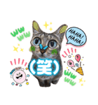 猫♥️面白♥️日常♥️挨拶♥️（個別スタンプ：25）