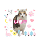 猫♥️面白♥️日常♥️挨拶♥️（個別スタンプ：28）