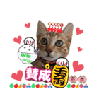 猫♥️面白♥️日常♥️挨拶♥️（個別スタンプ：33）
