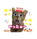猫♥️面白♥️日常♥️挨拶♥️（個別スタンプ：35）