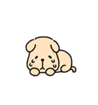 顔の長い子犬（個別スタンプ：21）