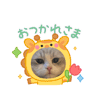 Noël"（個別スタンプ：1）