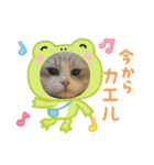 Noël"（個別スタンプ：3）