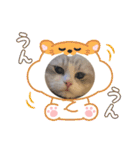 Noël"（個別スタンプ：8）