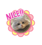 Noël"（個別スタンプ：11）