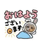 Noël"（個別スタンプ：12）