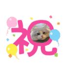 Noël"（個別スタンプ：14）