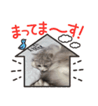 Noël"（個別スタンプ：15）