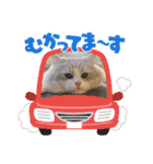 Noël"（個別スタンプ：16）