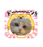 Noël"（個別スタンプ：17）