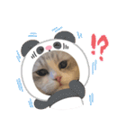 Noël"（個別スタンプ：18）
