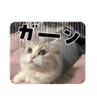 Noël"（個別スタンプ：19）
