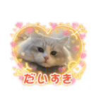 Noël"（個別スタンプ：20）