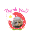 Noël"（個別スタンプ：21）