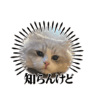 Noël"（個別スタンプ：31）