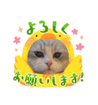 Noël"（個別スタンプ：33）